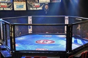 Tragedy in the Ring: MMA Fighter Dies During Bout | Ultimate Guide to MMA: Training, Techniques, and Top Fighters in The World