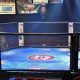 Tragedy in the Ring: MMA Fighter Dies During Bout | Ultimate Guide to MMA: Training, Techniques, and Top Fighters in The World