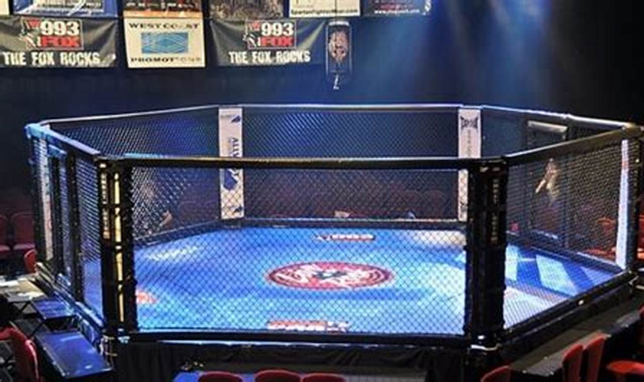 Tragedy in the Ring: MMA Fighter Dies During Bout | Ultimate Guide to MMA: Training, Techniques, and Top Fighters in The World