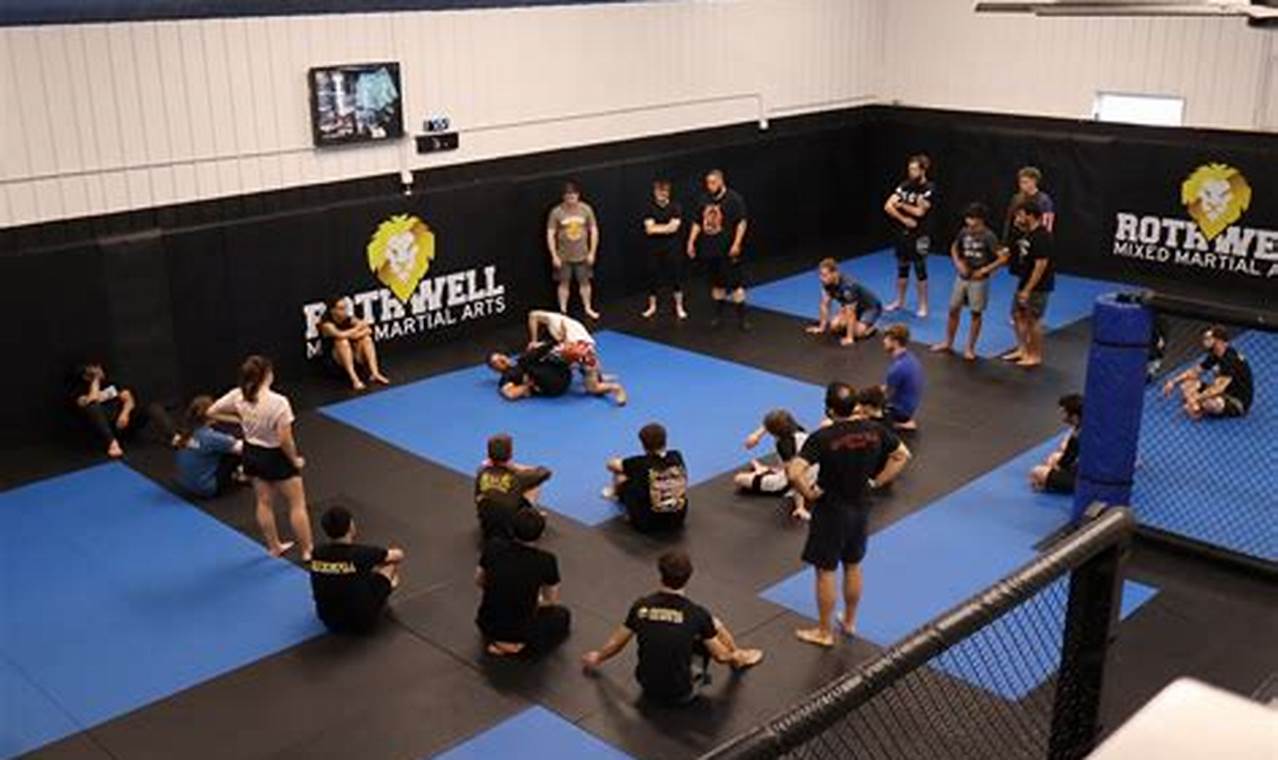 Train MMA at Rothwell Kenosha Gym | Ultimate Guide to MMA: Training, Techniques, and Top Fighters in The World