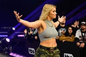 The Rise of MMA Paige: A Fighter's Journey | Ultimate Guide to MMA: Training, Techniques, and Top Fighters in The World