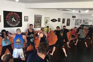 Best MMA Gyms & Training in Prescott, AZ | Ultimate Guide to MMA: Training, Techniques, and Top Fighters in The World