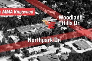 Train Like a Champion | Elite MMA Kingwood | Texas | Ultimate Guide to MMA: Training, Techniques, and Top Fighters in The World