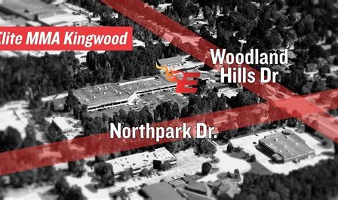 Train Like a Champion | Elite MMA Kingwood | Texas | Ultimate Guide to MMA: Training, Techniques, and Top Fighters in The World