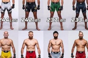 Understanding MMA Weight Classes: A Guide | Ultimate Guide to MMA: Training, Techniques, and Top Fighters in The World