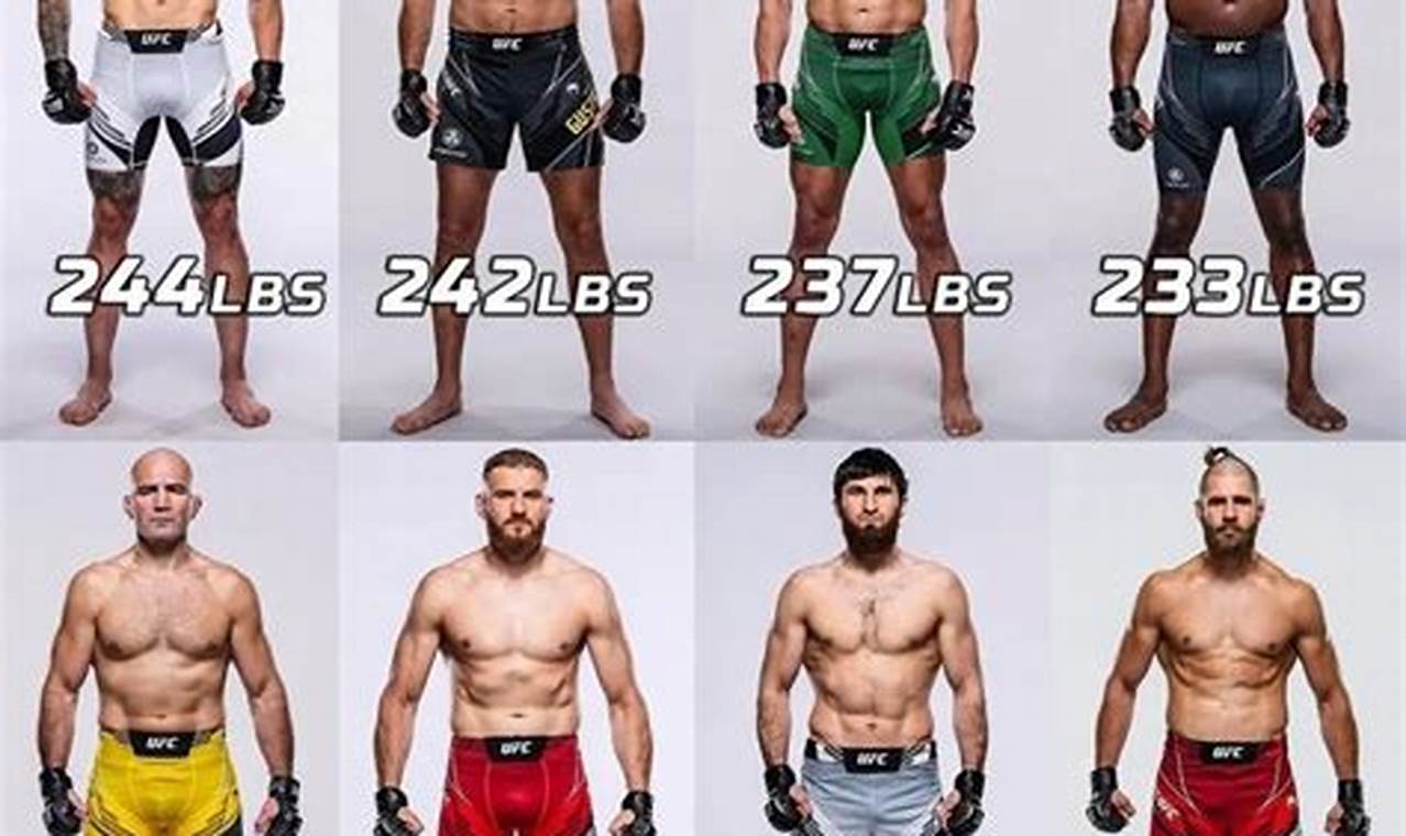 Understanding MMA Weight Classes: A Guide | Ultimate Guide to MMA: Training, Techniques, and Top Fighters in The World