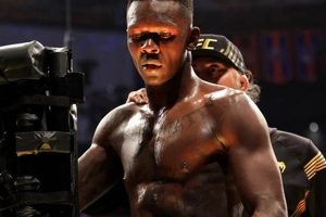 Ultimate Guide: When is the Next MMA Fight? | Ultimate Guide to MMA: Training, Techniques, and Top Fighters in The World