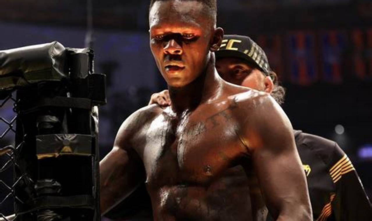 Ultimate Guide: When is the Next MMA Fight? | Ultimate Guide to MMA: Training, Techniques, and Top Fighters in The World