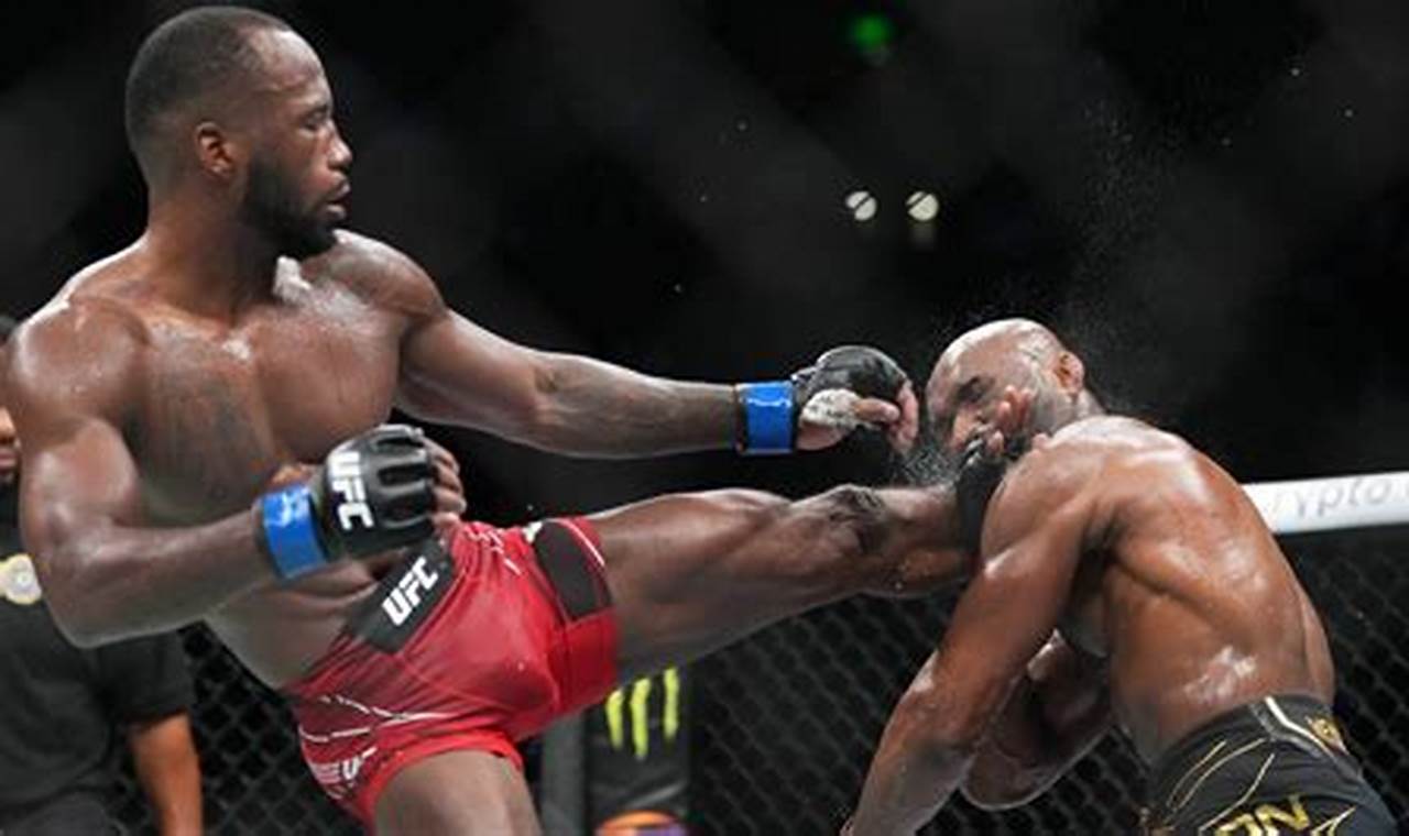 MMA IDDS: Data-Driven Fight Prep | Ultimate Guide to MMA: Training, Techniques, and Top Fighters in The World