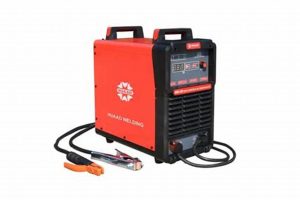 Top MMA Gear Under $500 | Amazon Finds | Ultimate Guide to MMA: Training, Techniques, and Top Fighters in The World