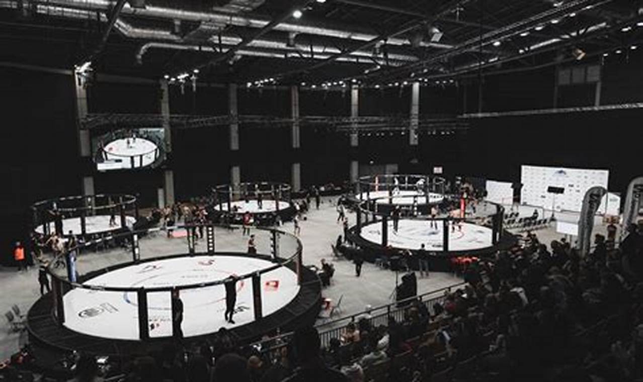 Ultimate MMA Events: Fights & Tickets | Ultimate Guide to MMA: Training, Techniques, and Top Fighters in The World