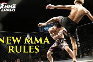 Official 2024 New MMA Rules Update Guide | Ultimate Guide to MMA: Training, Techniques, and Top Fighters in The World