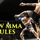 Official 2024 New MMA Rules Update Guide | Ultimate Guide to MMA: Training, Techniques, and Top Fighters in The World