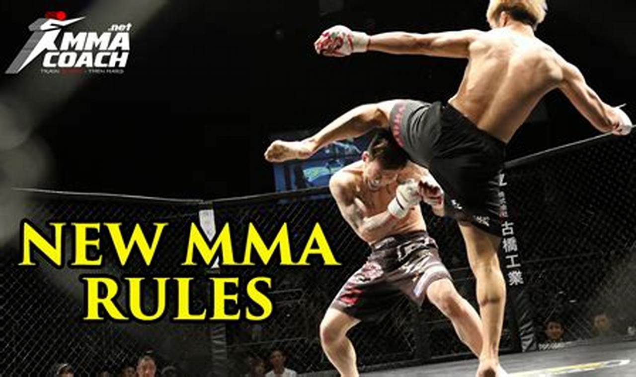 Official 2024 New MMA Rules Update Guide | Ultimate Guide to MMA: Training, Techniques, and Top Fighters in The World