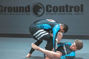 Mastering Ground Control for BJJ & MMA | Ultimate Guide to MMA: Training, Techniques, and Top Fighters in The World