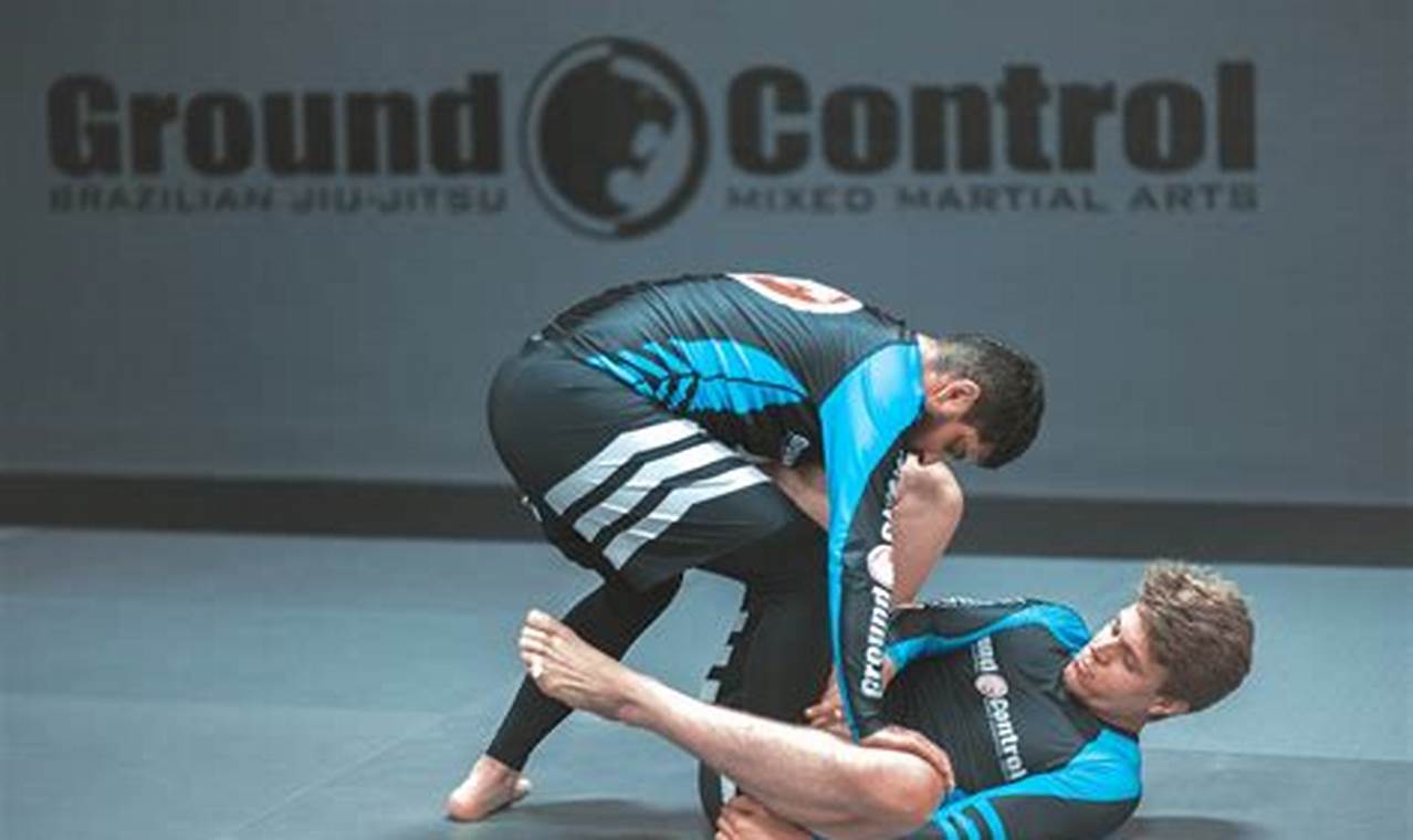 Mastering Ground Control for BJJ & MMA | Ultimate Guide to MMA: Training, Techniques, and Top Fighters in The World