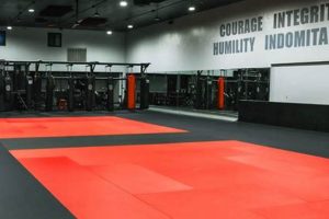 The Best Dojo MMA Training: Find Your Gym | Ultimate Guide to MMA: Training, Techniques, and Top Fighters in The World