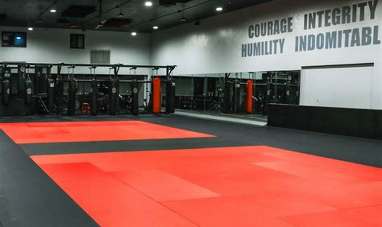 The Best Dojo MMA Training: Find Your Gym | Ultimate Guide to MMA: Training, Techniques, and Top Fighters in The World