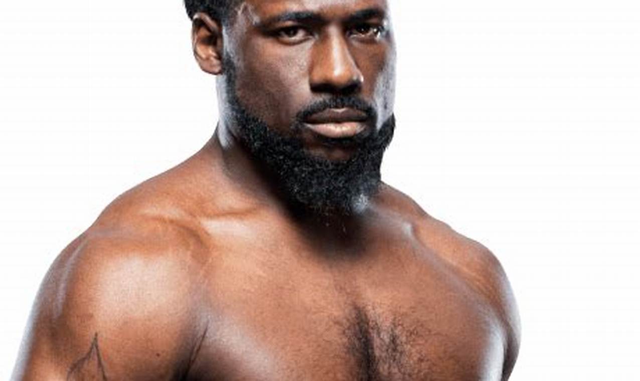 The Way of the Knight MMA Warrior | Ultimate Guide to MMA: Training, Techniques, and Top Fighters in The World