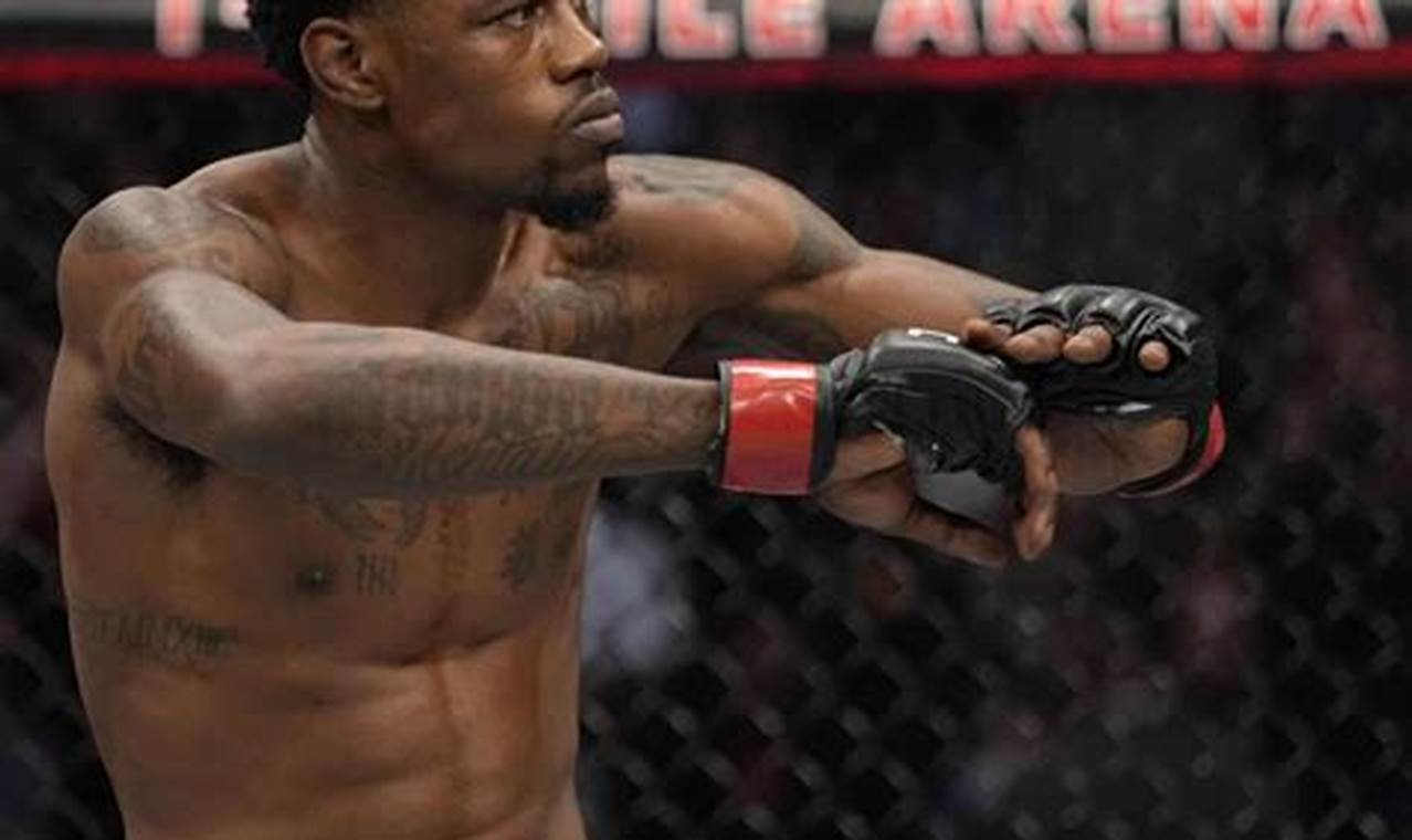 Best Holland MMA Gyms & Training | Ultimate Guide to MMA: Training, Techniques, and Top Fighters in The World