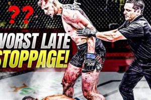 Understanding MMA Stoppage Rules & Safety | Ultimate Guide to MMA: Training, Techniques, and Top Fighters in The World