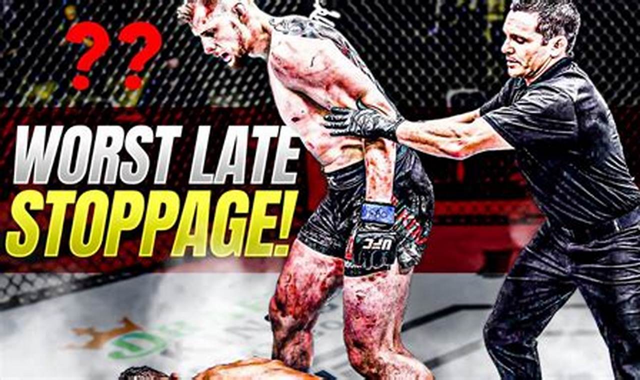 Understanding MMA Stoppage Rules & Safety | Ultimate Guide to MMA: Training, Techniques, and Top Fighters in The World
