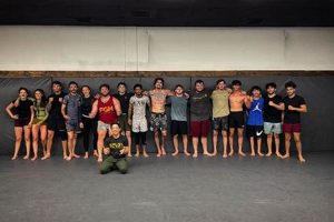 Mastering Flow MMA: A Fighter's Guide | Ultimate Guide to MMA: Training, Techniques, and Top Fighters in The World
