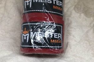 Become a Meister MMA Fighter: Train Like a Pro | Ultimate Guide to MMA: Training, Techniques, and Top Fighters in The World