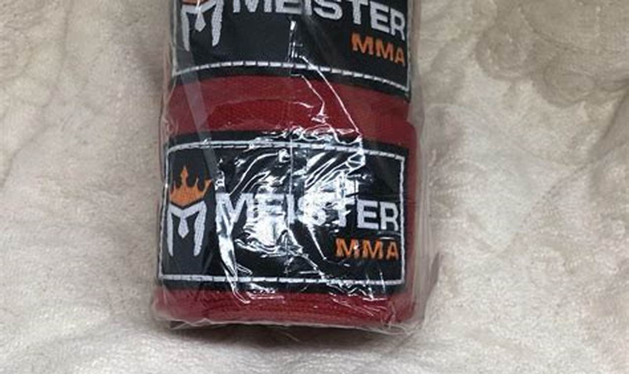 Become a Meister MMA Fighter: Train Like a Pro | Ultimate Guide to MMA: Training, Techniques, and Top Fighters in The World