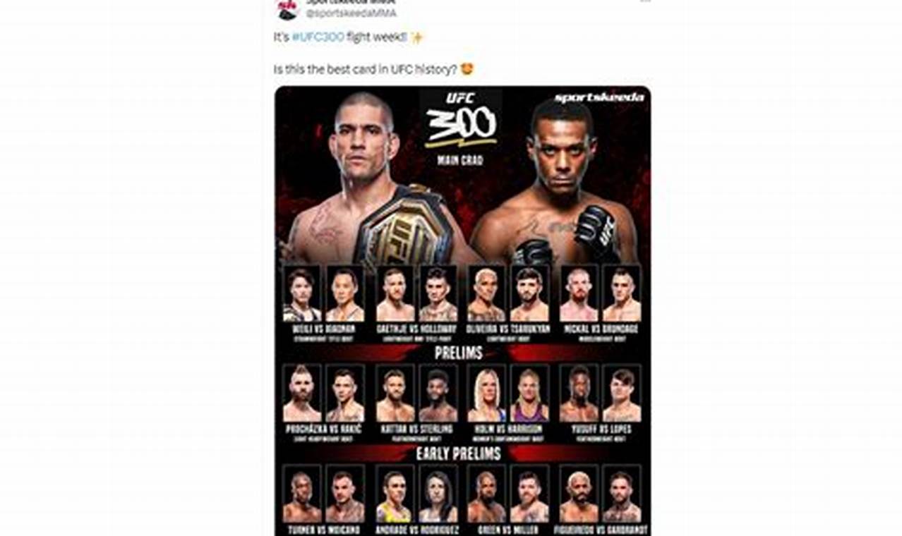 The Ultimate Guide to MMA UFC 300: Predictions & More | Ultimate Guide to MMA: Training, Techniques, and Top Fighters in The World