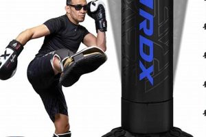 Best MMA Punch Bags: Top Picks & Guide | Ultimate Guide to MMA: Training, Techniques, and Top Fighters in The World