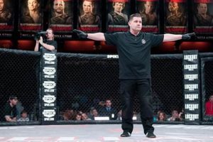 The Ultimate Guide to MMA Refereeing Ultimate Guide to MMA: Training, Techniques, and Top Fighters in The World The Ultimate Guide to MMA Refereeing | Ultimate Guide to MMA: Training, Techniques, and Top Fighters in The World