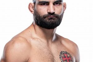 Top Saint-Denis MMA Gyms & Training | Ultimate Guide to MMA: Training, Techniques, and Top Fighters in The World