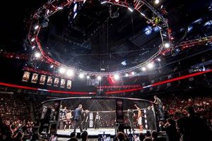 Experience Mohegan Sun MMA Fights & Events | Ultimate Guide to MMA: Training, Techniques, and Top Fighters in The World