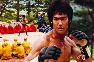 The Legend of Bruce Lee MMA & Its Impact | Ultimate Guide to MMA: Training, Techniques, and Top Fighters in The World