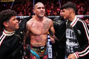 Intro to MMA 303: Core Techniques | Ultimate Guide to MMA: Training, Techniques, and Top Fighters in The World