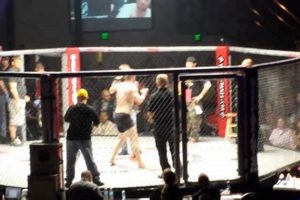 Best One Hit MMA in Layton Utah: Learn Self-Defense | Ultimate Guide to MMA: Training, Techniques, and Top Fighters in The World
