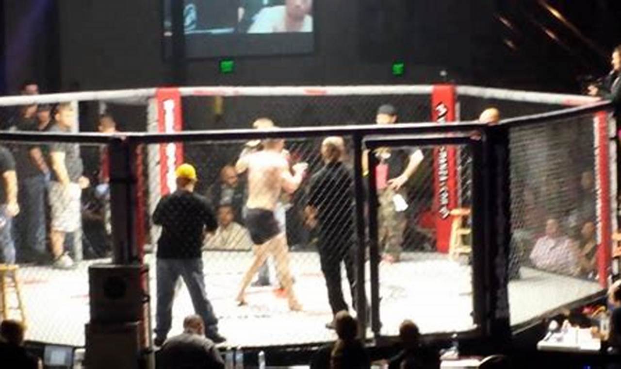 Best One Hit MMA in Layton Utah: Learn Self-Defense Ultimate Guide to MMA: Training, Techniques, and Top Fighters in The World Best One Hit MMA in Layton Utah: Learn Self-Defense | Ultimate Guide to MMA: Training, Techniques, and Top Fighters in The World
