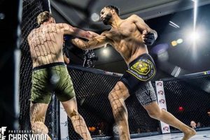 Mastering MMA Freestyle: A Complete Guide Ultimate Guide to MMA: Training, Techniques, and Top Fighters in The World Mastering MMA Freestyle: A Complete Guide | Ultimate Guide to MMA: Training, Techniques, and Top Fighters in The World