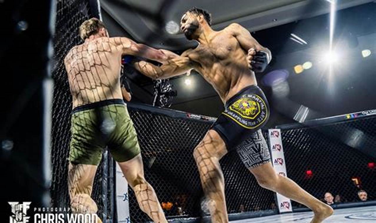 Mastering MMA Freestyle: A Complete Guide | Ultimate Guide to MMA: Training, Techniques, and Top Fighters in The World