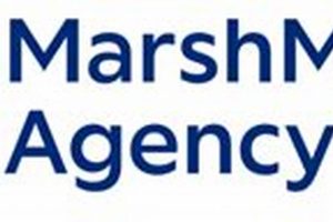 The Ultimate Guide to MMA Marsh Training | Ultimate Guide to MMA: Training, Techniques, and Top Fighters in The World