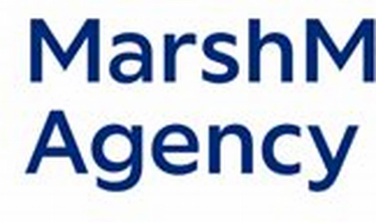 The Ultimate Guide to MMA Marsh Training | Ultimate Guide to MMA: Training, Techniques, and Top Fighters in The World