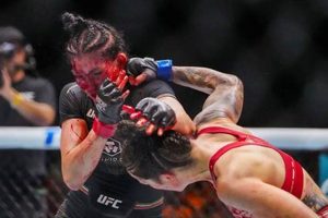 Las Vegas Mma Ultimate Guide to MMA: Training, Techniques, and Top Fighters in The World Las Vegas Mma | Ultimate Guide to MMA: Training, Techniques, and Top Fighters in The World