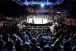 Watch MMA Live Streams: Best Sites & Tips | Ultimate Guide to MMA: Training, Techniques, and Top Fighters in The World