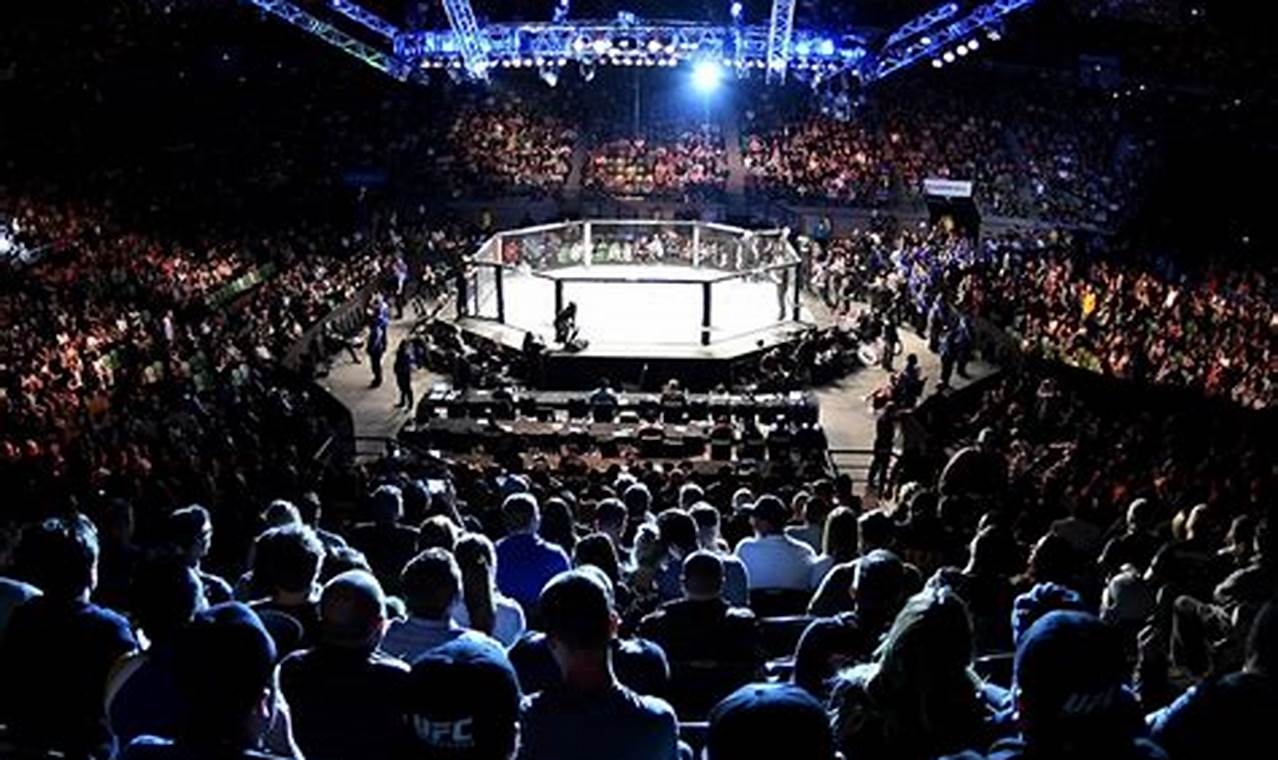 Watch MMA Live Streams: Best Sites & Tips | Ultimate Guide to MMA: Training, Techniques, and Top Fighters in The World
