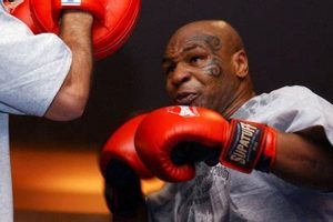 Mike Tyson's MMA Commentary: Unfiltered & Raw | Ultimate Guide to MMA: Training, Techniques, and Top Fighters in The World