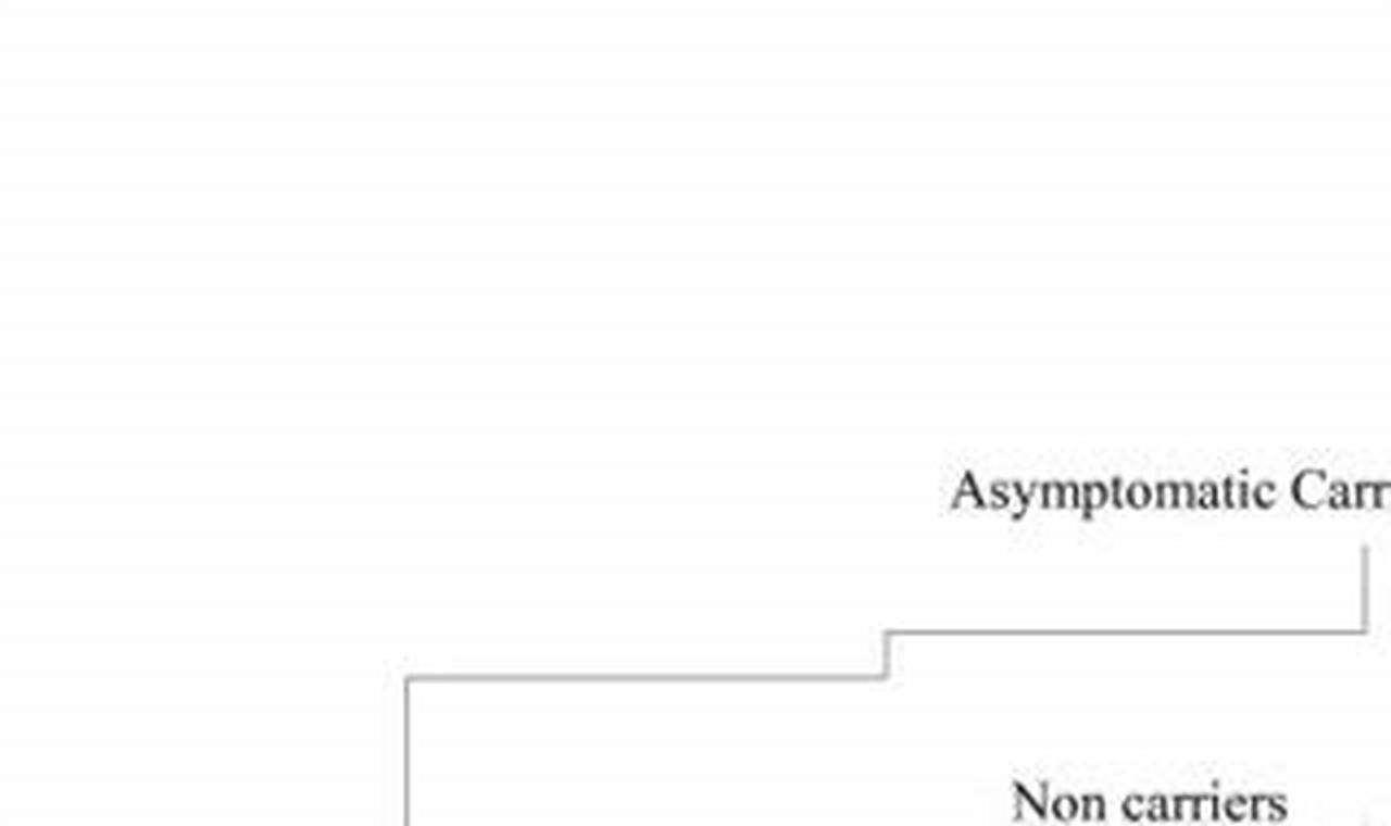 Ultimate MMA Rate Guide: Stats & Analysis | Ultimate Guide to MMA: Training, Techniques, and Top Fighters in The World