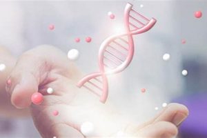 Understanding MMA Disease & Life Expectancy | Ultimate Guide to MMA: Training, Techniques, and Top Fighters in The World