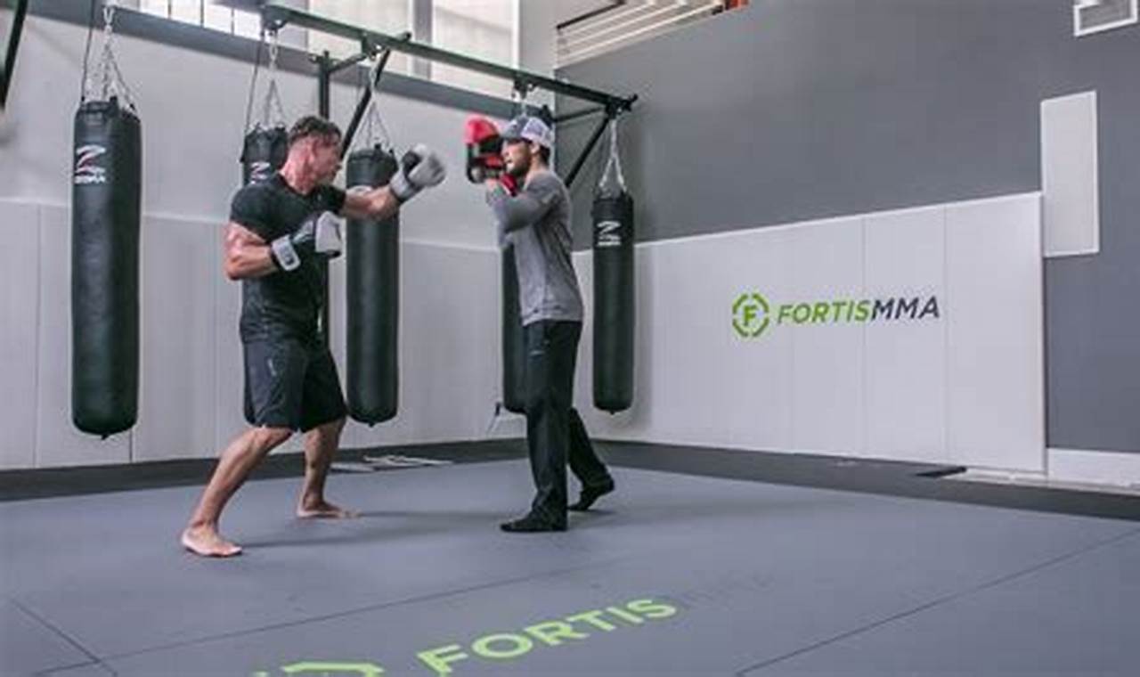 Best MMA Gyms & Training in Dallas TX | Ultimate Guide to MMA: Training, Techniques, and Top Fighters in The World