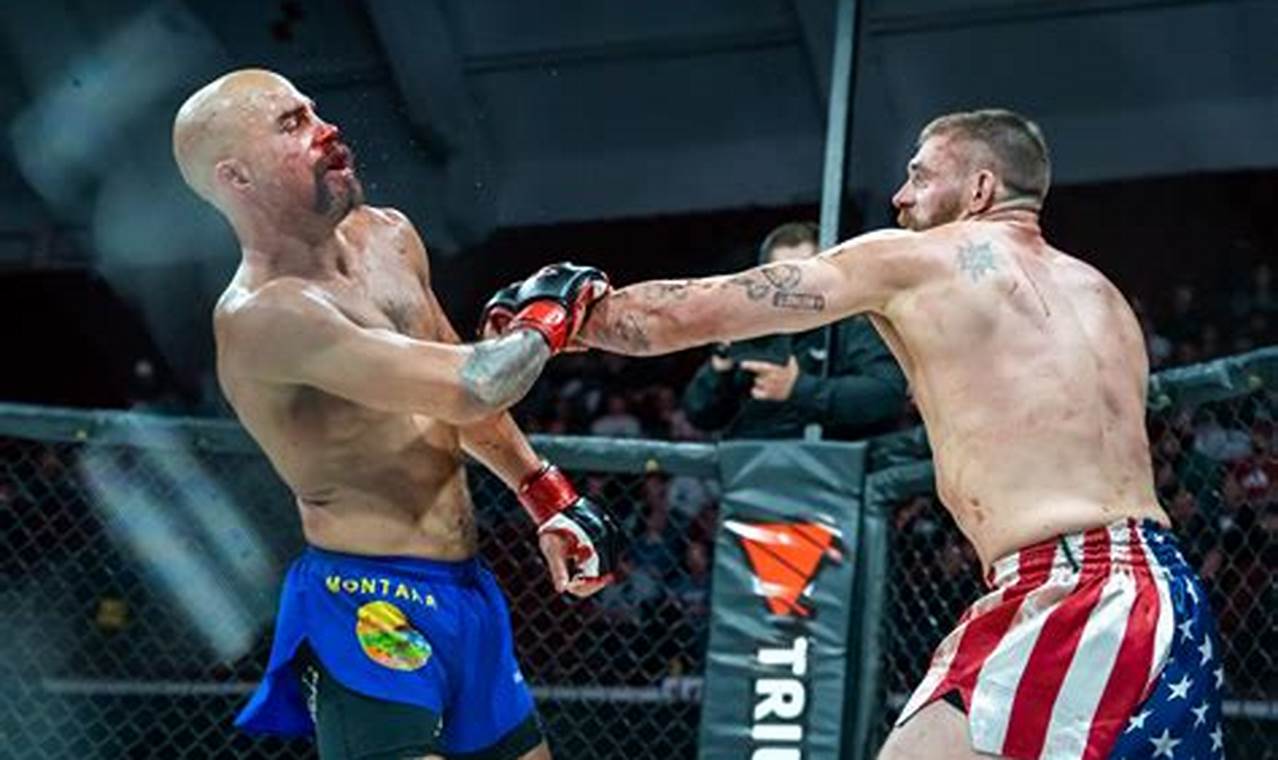 Best MMA Gyms & Training in Missoula, MT | Ultimate Guide to MMA: Training, Techniques, and Top Fighters in The World